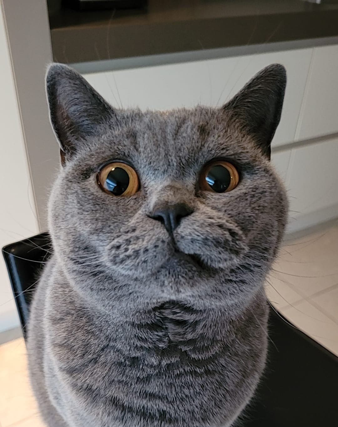 Marcel